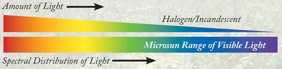 Spectral Distribution